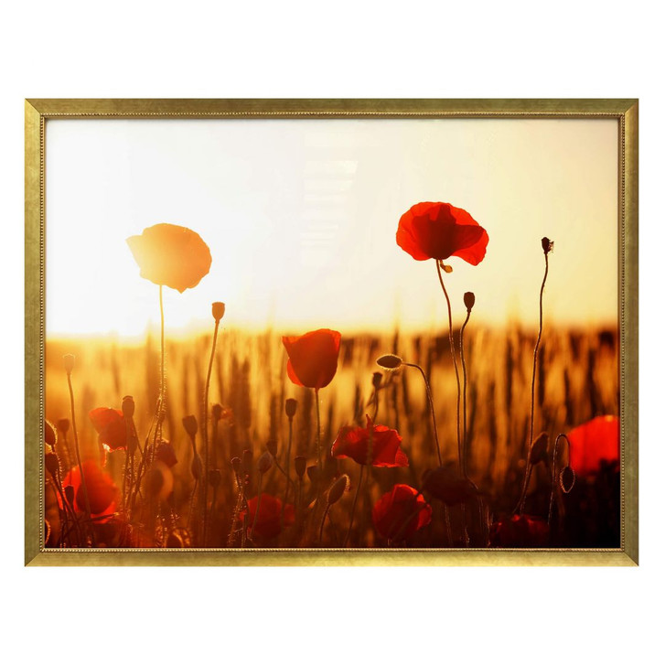 Poster Sonnenflut im Mohnfeld - WA249088