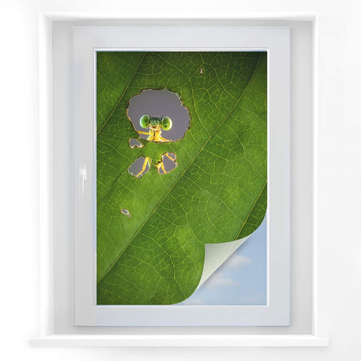 Sichtschutzfolie Wilianto - Hello little Friend - WA177540