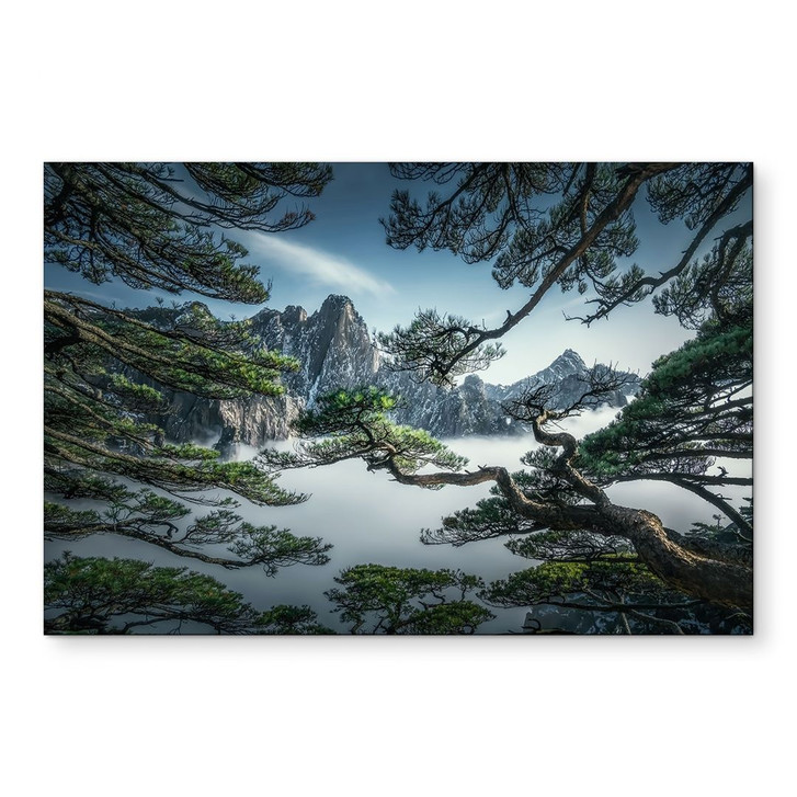 Wandbild Kiefernwald im Huang Shan Gebirge - NingYun Ye - Alu-Dibond - WA434095