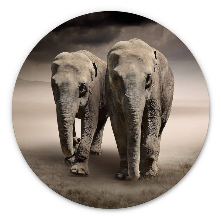 Alu-Dibond Die Elefanten - Rund - WA325476