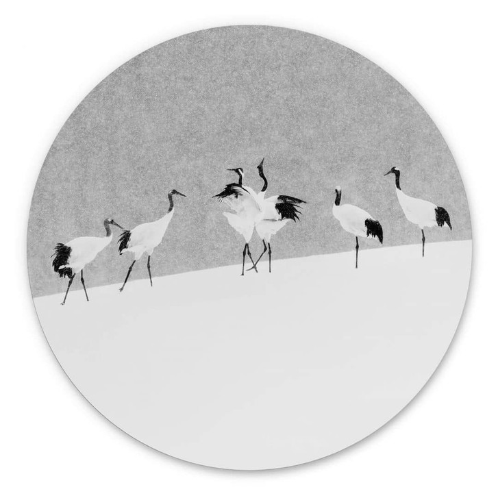Alu-Dibond Marchegiani - Kraniche in einer Schneelandschaft - Rund - WA344842