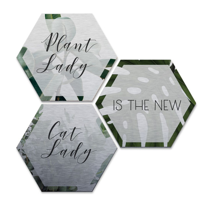 Hexagon - Alu-Dibond-Silbereffekt - Plantlady is the new Catlady (3er Set) - WA233255