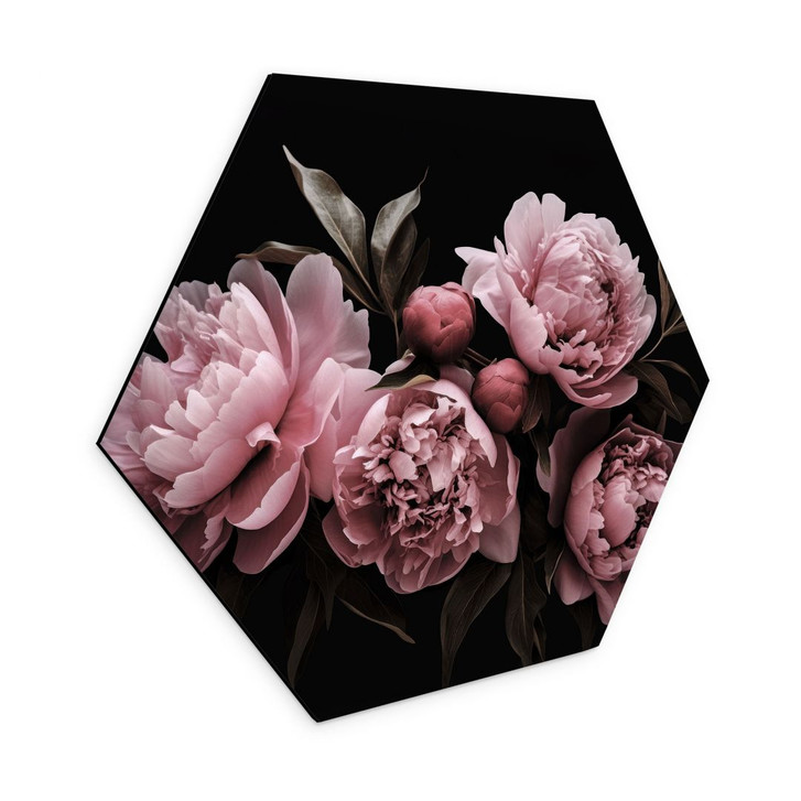Hexagon Wandbild Pfingstrose rosé - Haase - Alu-Dibond - WA394152