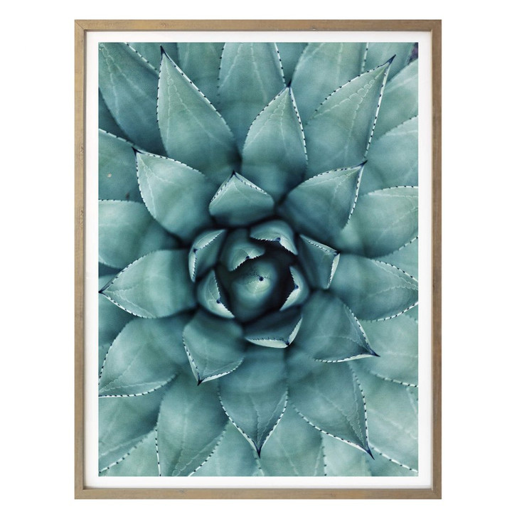 Poster Agave 02 - WA157013