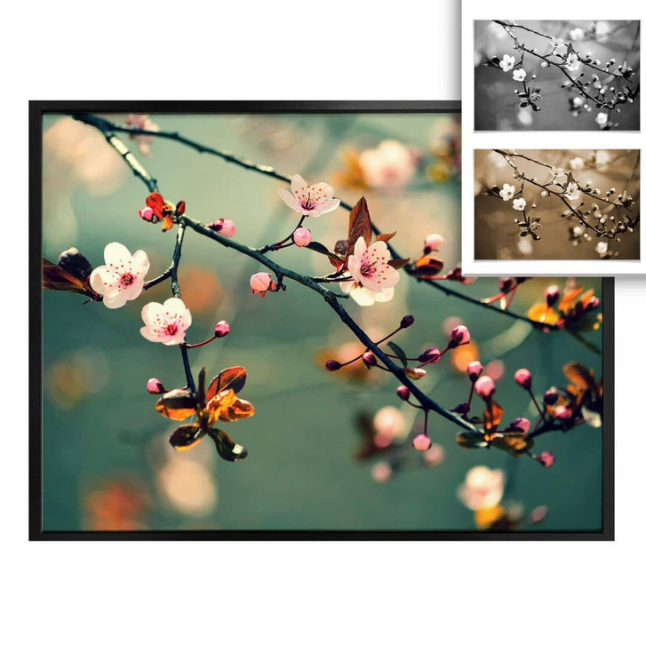 Poster Frühlingserwachen - WA247351