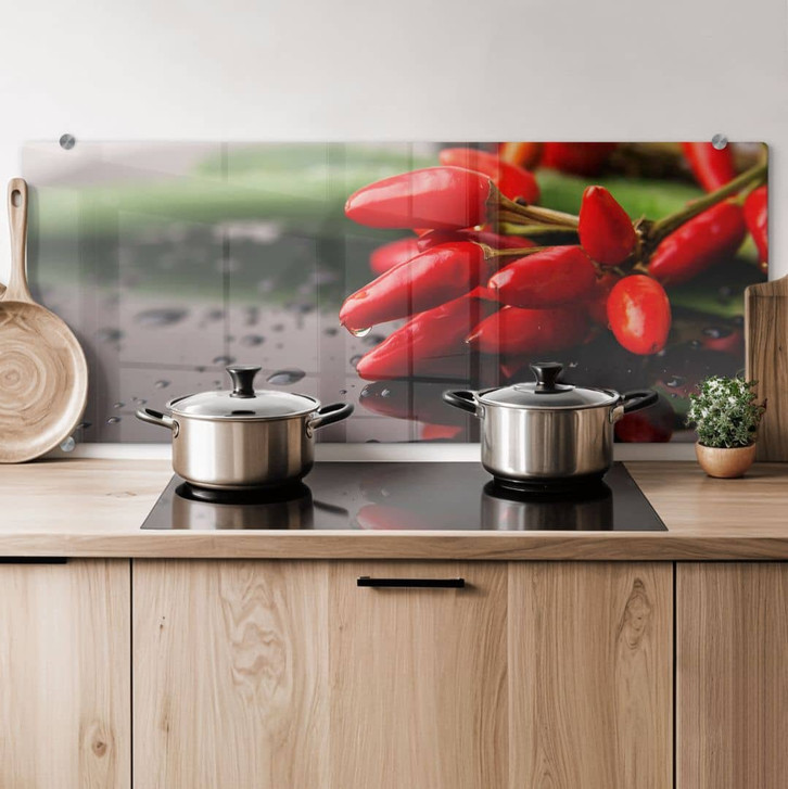 Spritzschutz Exotische Schärfe - Panorama - WA178181