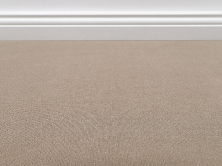 Vorwerk® Modena Teppichboden Meterware in 8e99 - TS546470