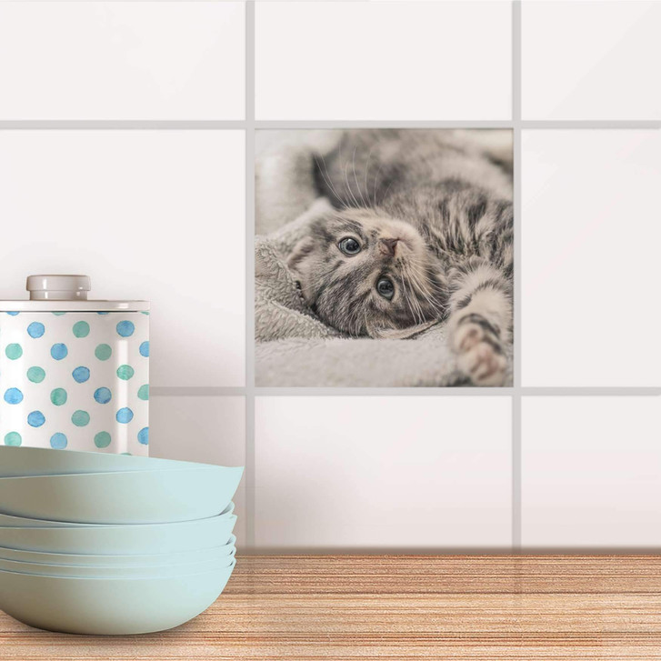 Fliesenaufkleber - Kitty the Cat - CR101024