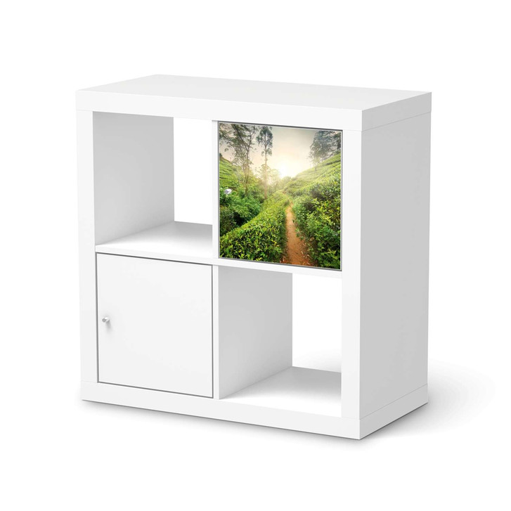 Klebefolie IKEA Expedit Regal Tür einzeln - Green Tea Fields - CR111234