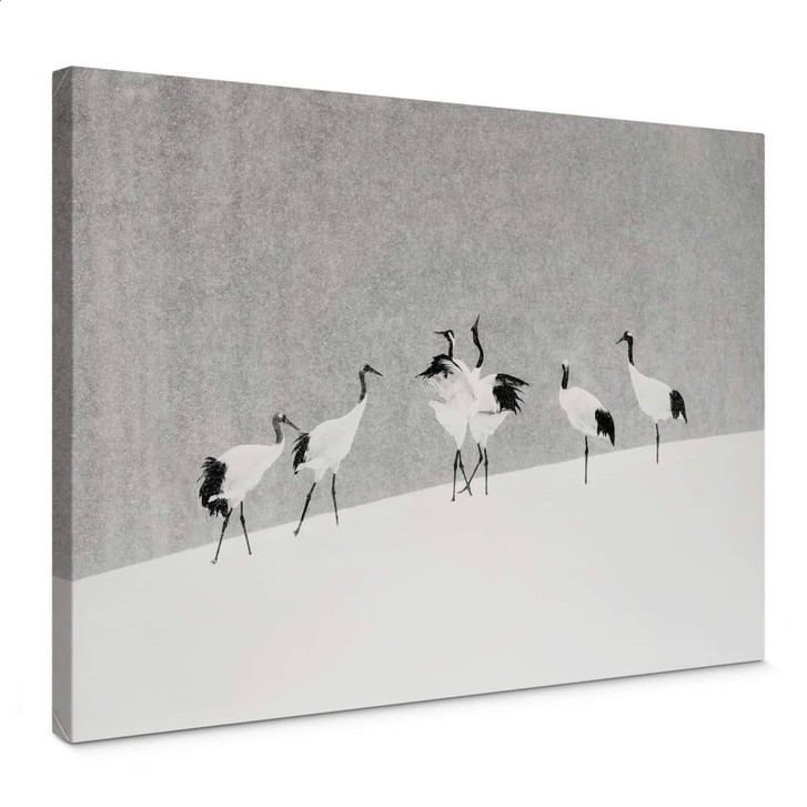 Leinwandbild Marchegiani - Kraniche in einer Schneelandschaft - WA347677