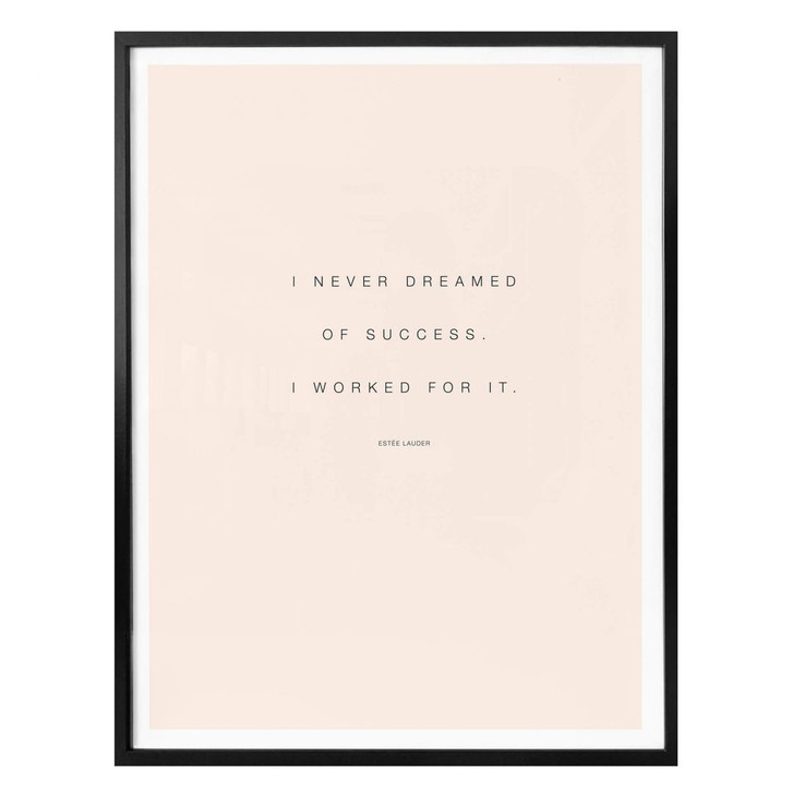 Poster - I never dreamed of Succes - WA237452