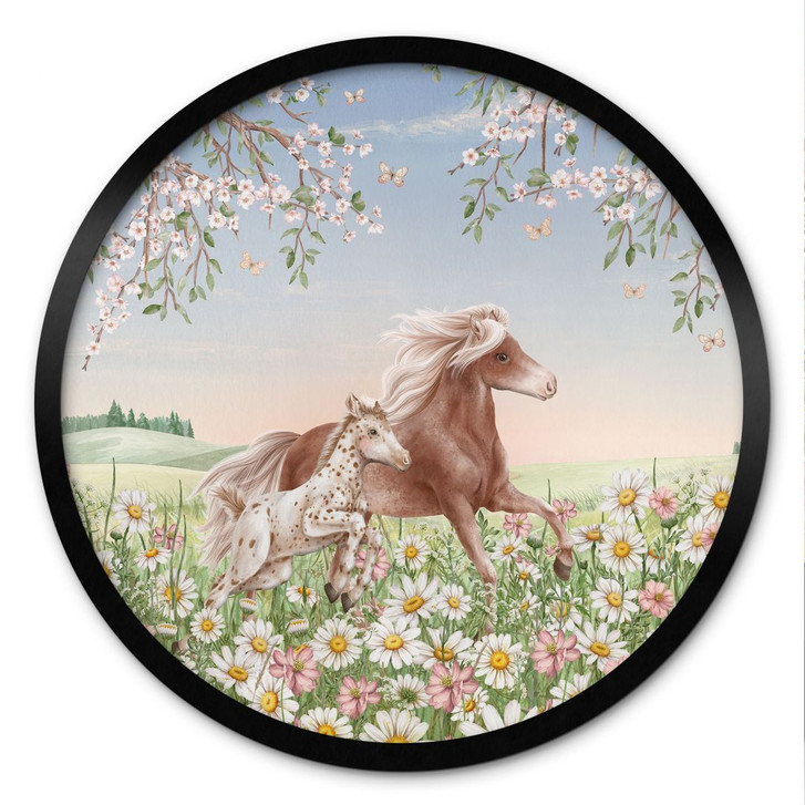 Poster Pferde auf der Blumenwiese - Kikki Belle - Rund - WA498718