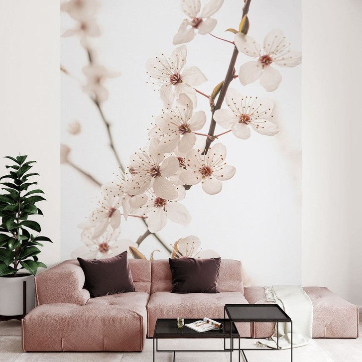 Florale Fototapete Zweig mit weissen Kirschblüten - Sisi & Seb - WA466713