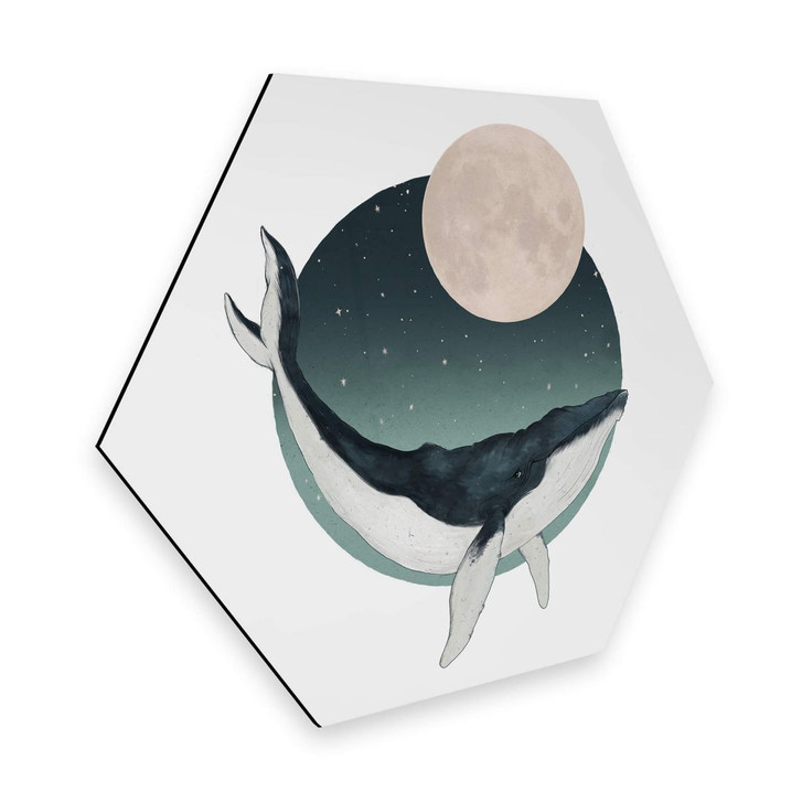 Hexagon - Alu-Dibond Graves - Humpback - WA285106