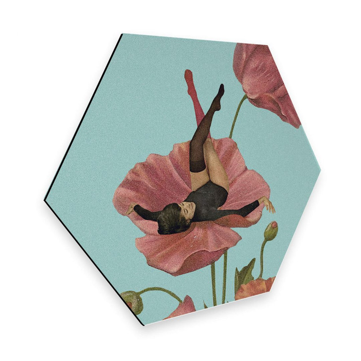 Hexagon - Alu-Dibond Léon - Colourful Dreamer - WA273230