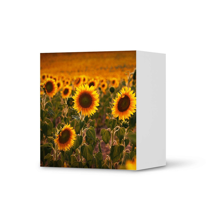 Klebefolie IKEA Besta Regal 1 Türe - Sunflowers - CR109237