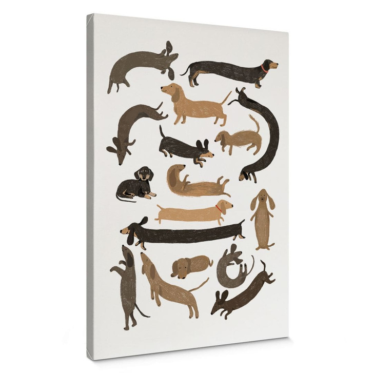 Leinwandbild Verspielte Dackel - Hunde Illustration - Melin - WA496090