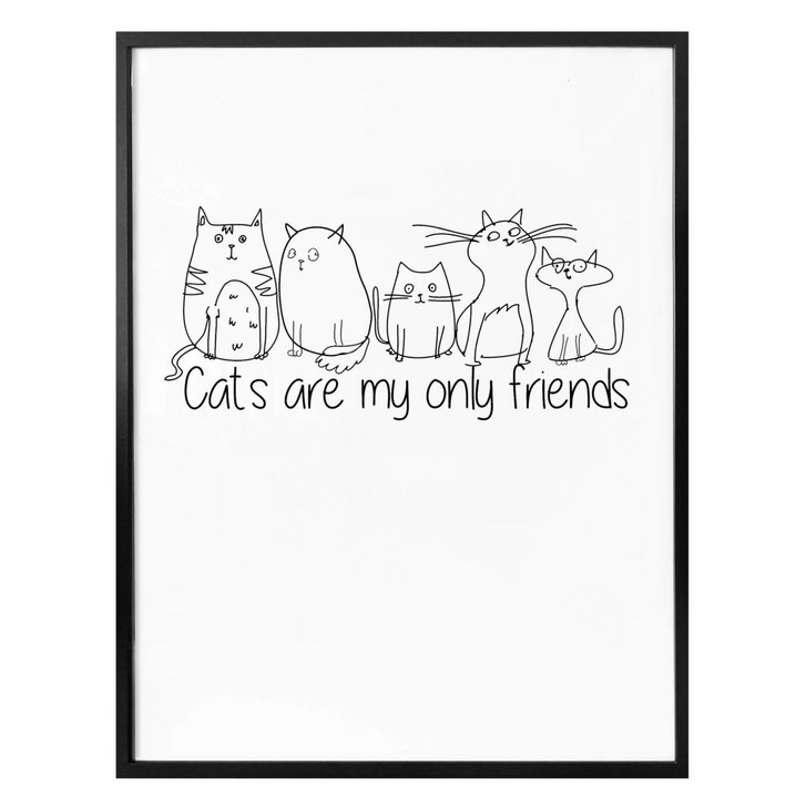 Poster - Cats are my only friends  - WA156631