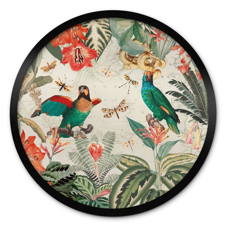 Poster Exotischer Dschungel mit Papageien - UN Designs - Rund - WA408938