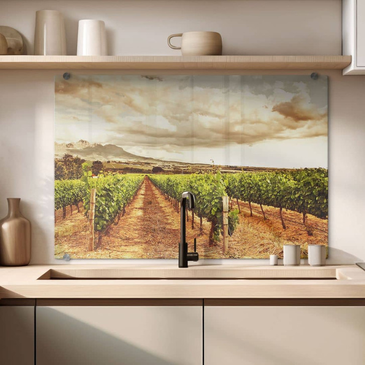 Spritzschutz Weinreben in den Bergen - WA179716