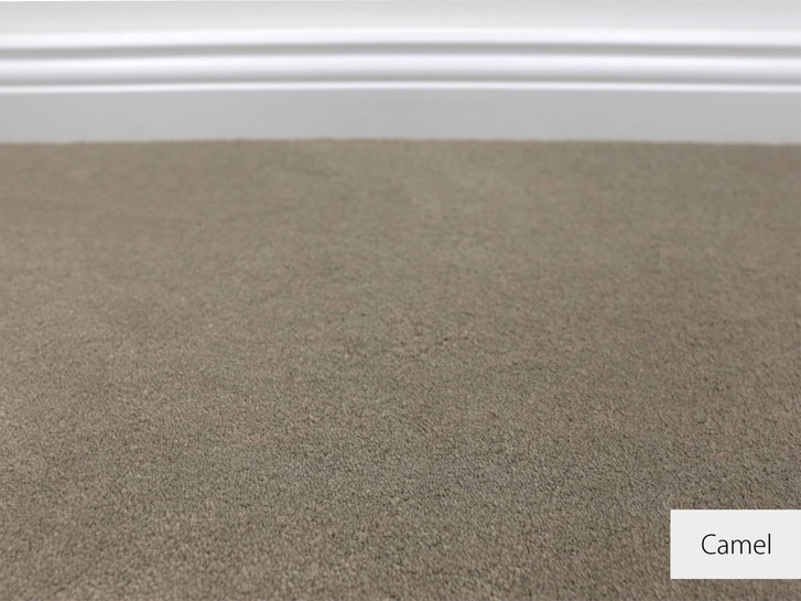 Emily Velours Teppichboden | Meterware | Camel - TS414013