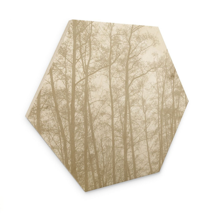 Hexagon Holzbild Stiller Winterwald - Böhmer - WA495303