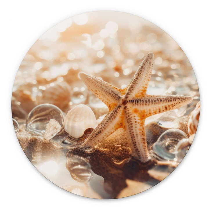 Wandbild Muscheln am sonnigen Strand - Treechild - Alu-Dibond Rund - WA464808