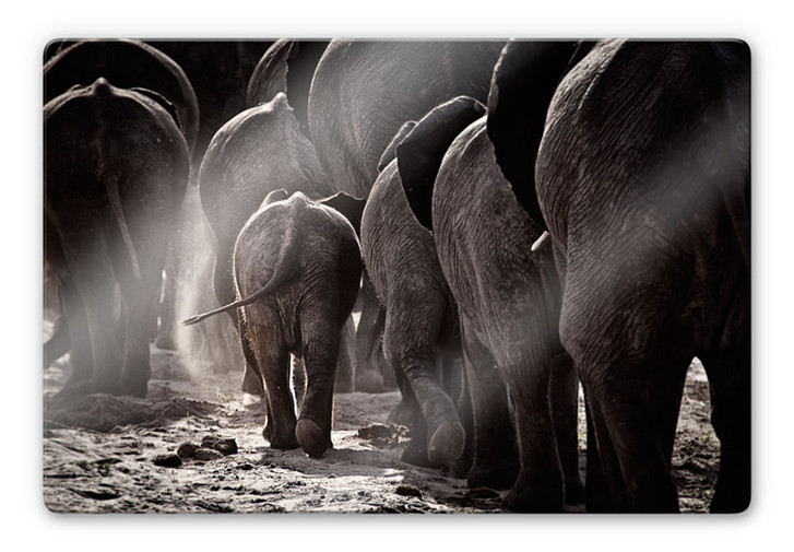 Glasbild McRae - Walking Home - WA232304