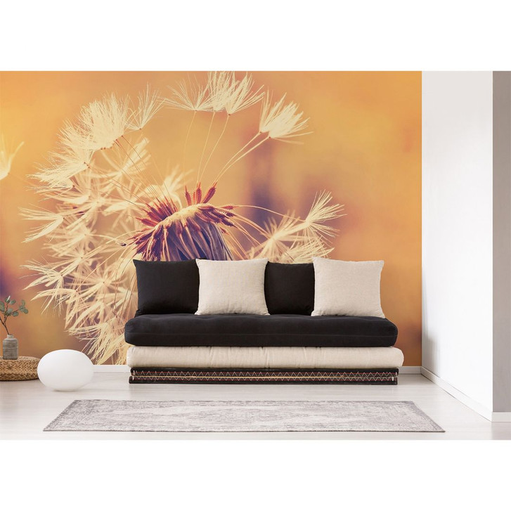Livingwalls Fototapete Designwalls Dandelion Blumen - WA296323