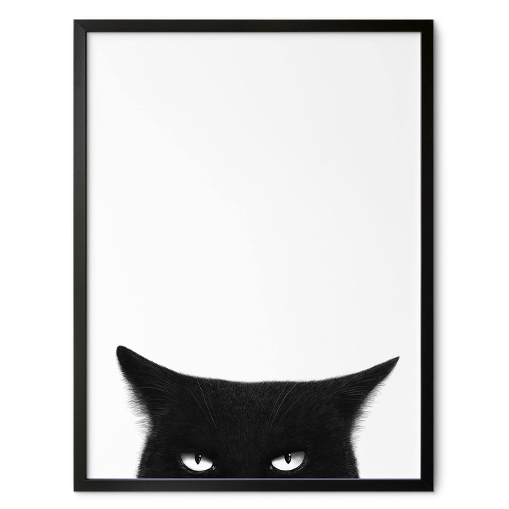 Poster Blick einer schwarzen Katze - Korenkova - WA514837