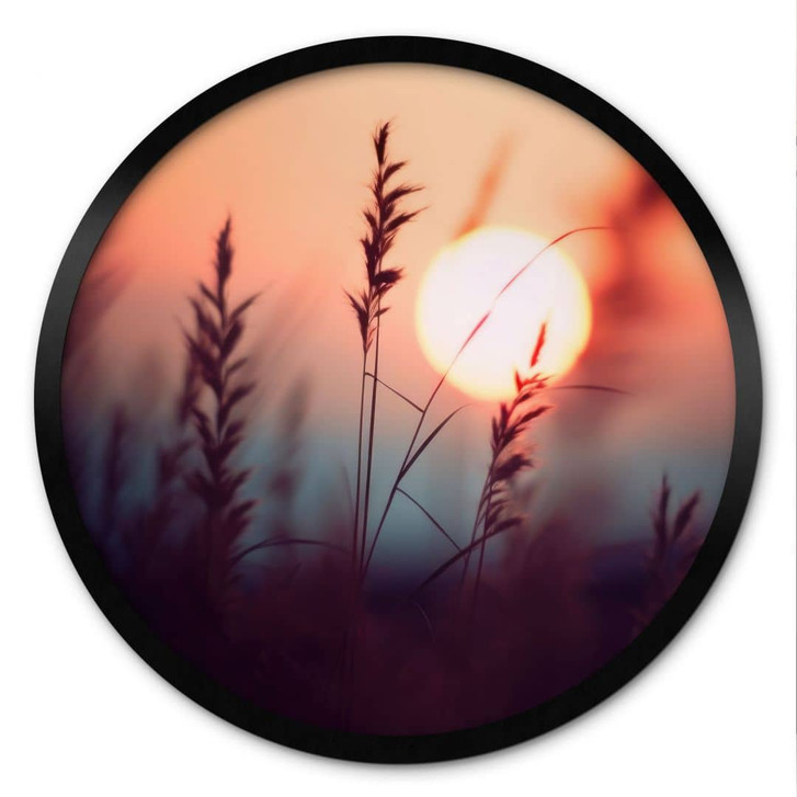 Poster Gräser im Licht der glühenden Sonne - Treechild - Rund - WA473599