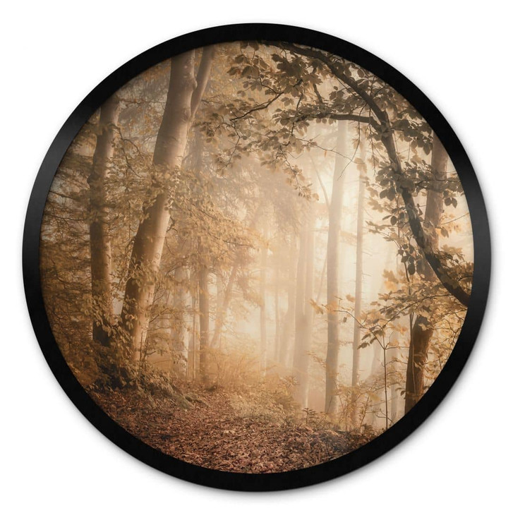 Poster Wald im morgendlichen Nebel - Maier - Rund - WA407012