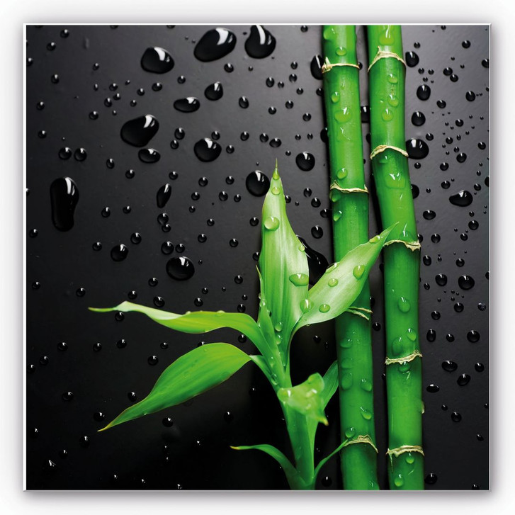 Hartschaumbild Bamboo Over Black - quadratisch - WA129505