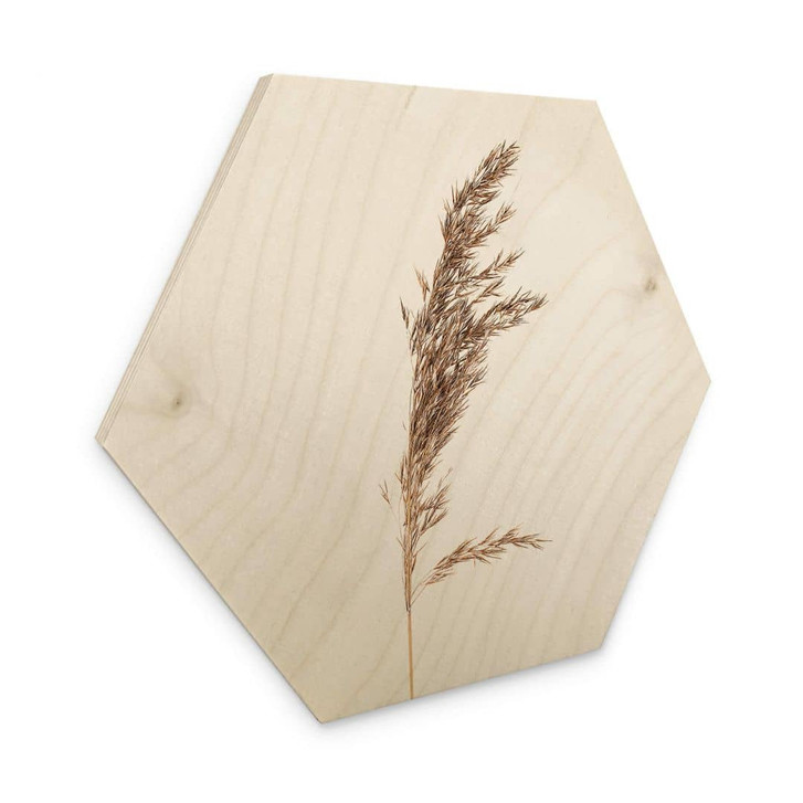 Hexagon - Holz Ziergras No. 3 - WA321041