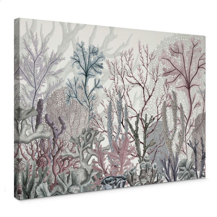 Leinwandbild Sir Edward - Meereswunder - WA374653