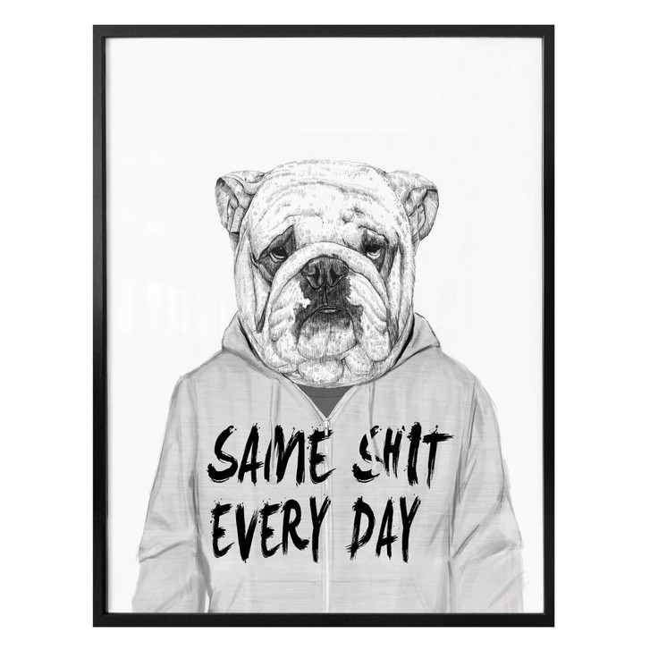 Poster Solti - Genervte Bulldogge - WA311883