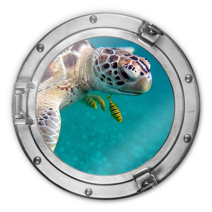 Glasbild rund 3D-Optik Bullauge - Unterwasserfreunde - WA232676