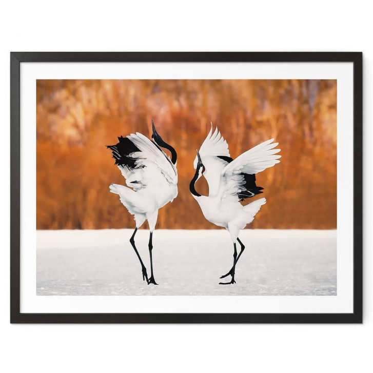 Poster Mei - Tanz der Kraniche - WA349577