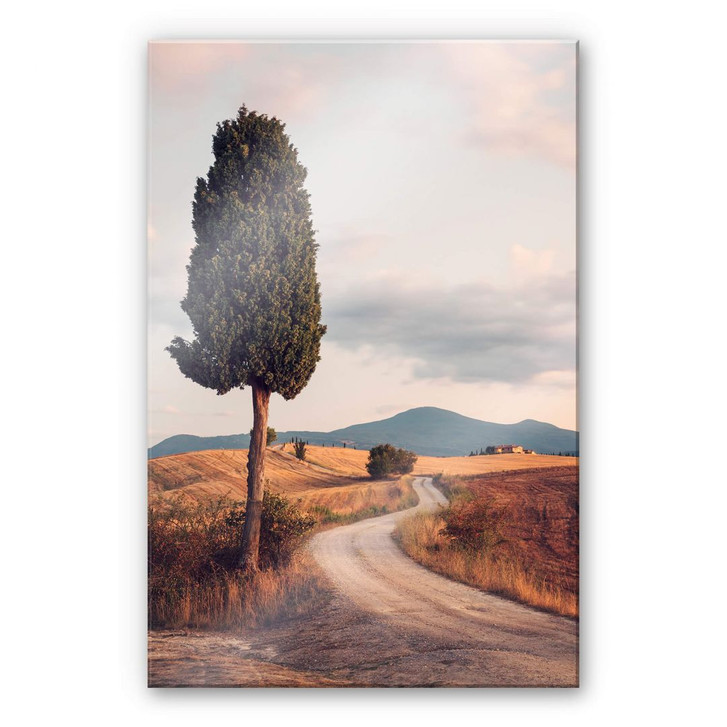 Acrylglasbild Colombo - Zypressenweg - WA269078