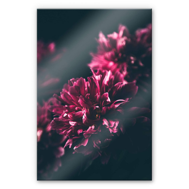 Acrylglasbild Pink Flower Dream 01 - WA230510
