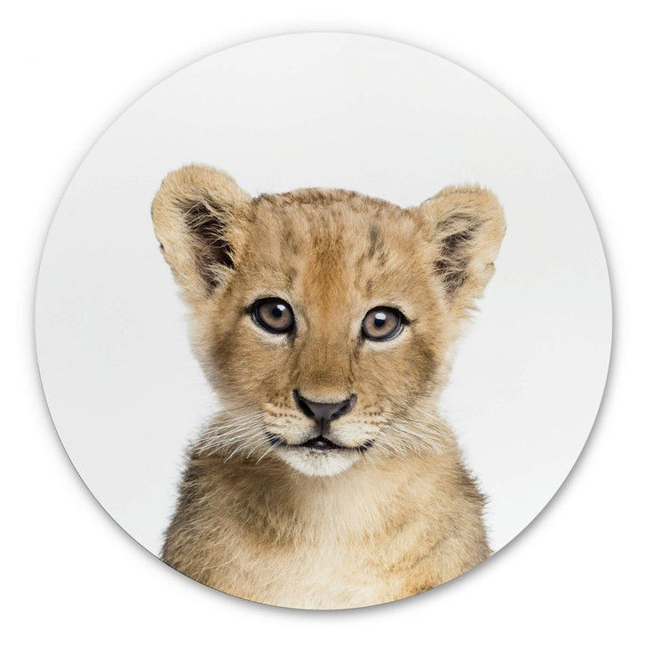 Alu-Dibond Sisi & Seb - Baby Löwe - Rund - WA299164