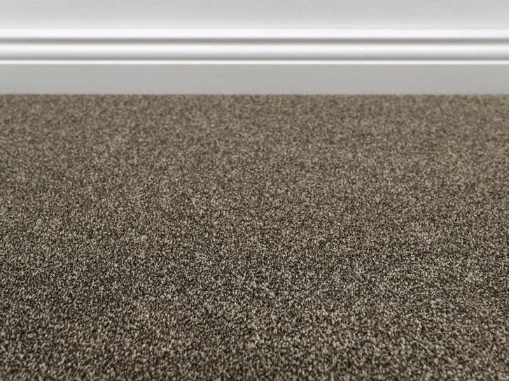 Evolve Teppichboden Meterware in 49 - TS554208
