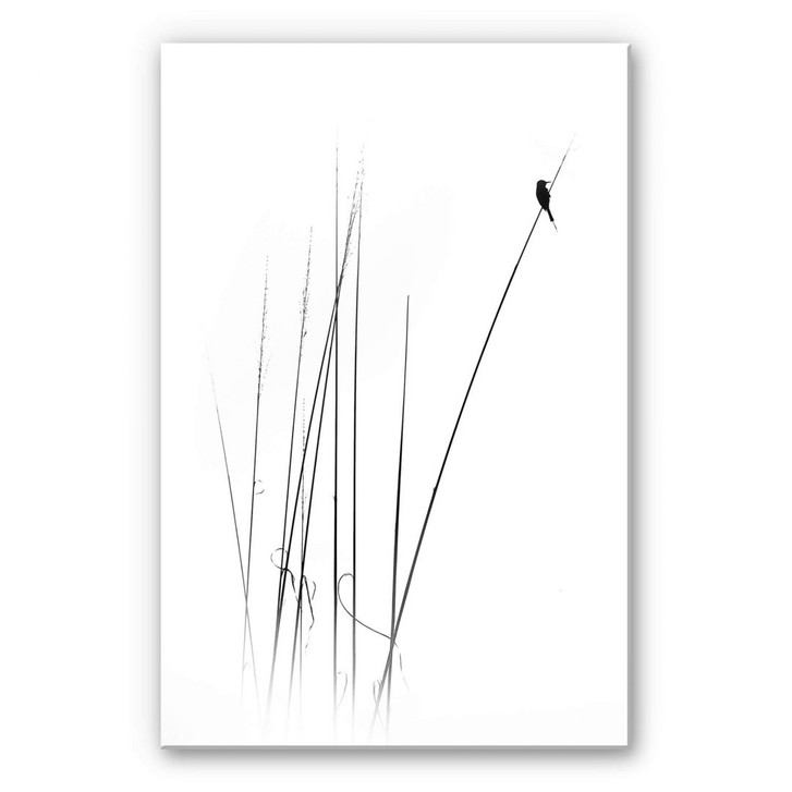 Acrylglasbild Swapnil - Auszeit - WA284832