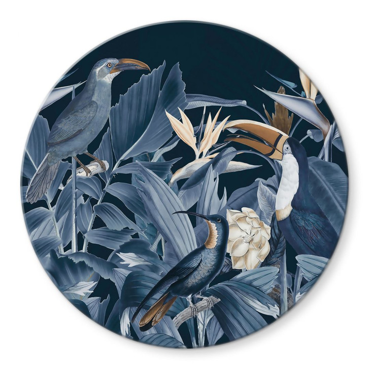 Glasbild Tropische Vögel im nächtlichen Wald - Haase - Rund - WA494972