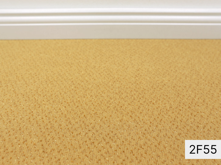 Vorwerk Alexis Teppichboden Meterware in 2F55 - TS492071