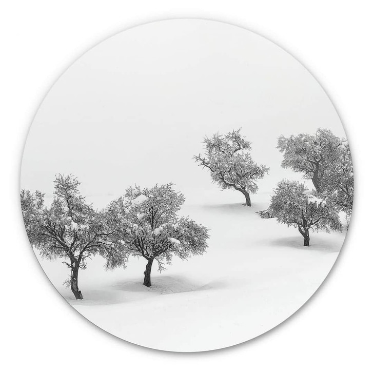 Alu-Dibond Carrillo Lopez - Weisse Landschaft mit Bäumen - Rund - WA319752