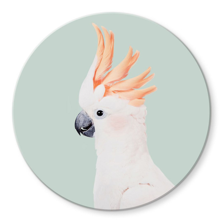 Glasbild Tierporträt Rosa Kakadu - Sisi & Seb - Rund - WA424955