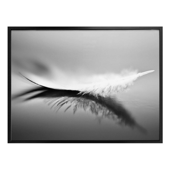 Poster Coutinho - Schwerelos - WA238553