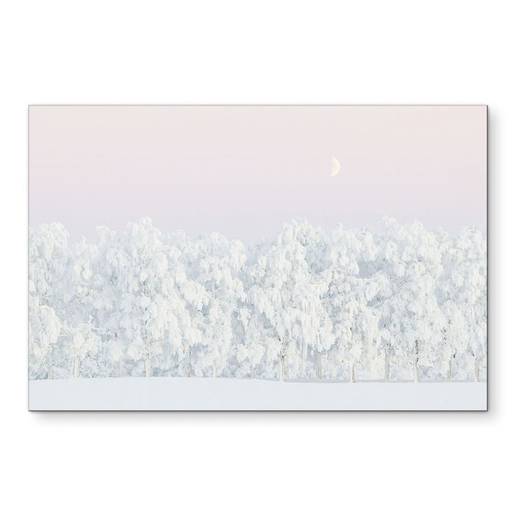 Wandbild Verschneiter Winterwald mit Mond - EMELIEmaria - Alu-Dibond - WA491649