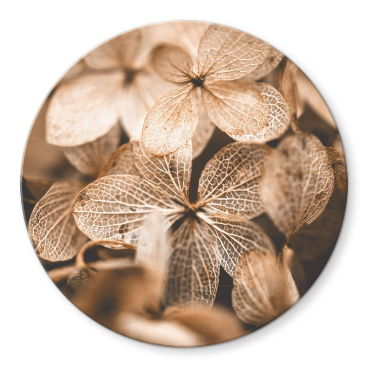 Glasbild Annie - Zarte Blüten - Rund - WA315198